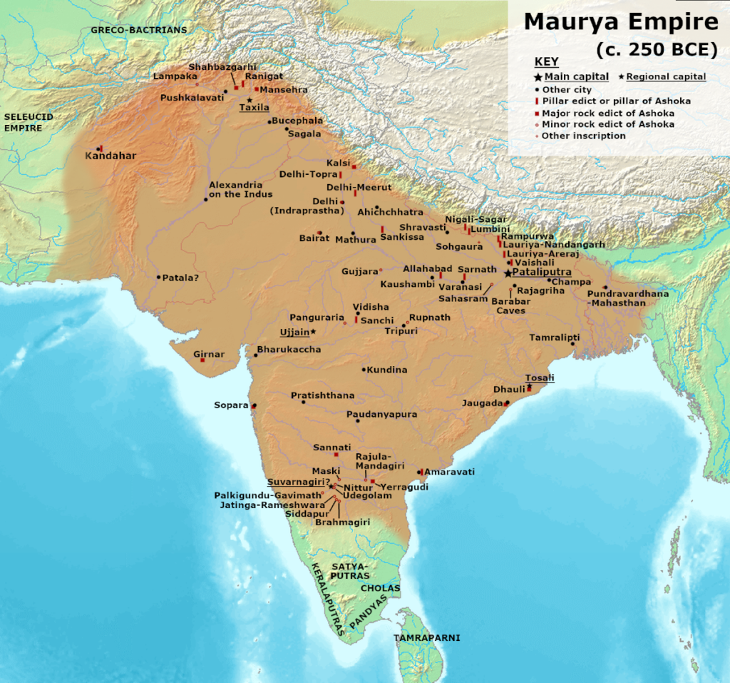 Maury Dynasty